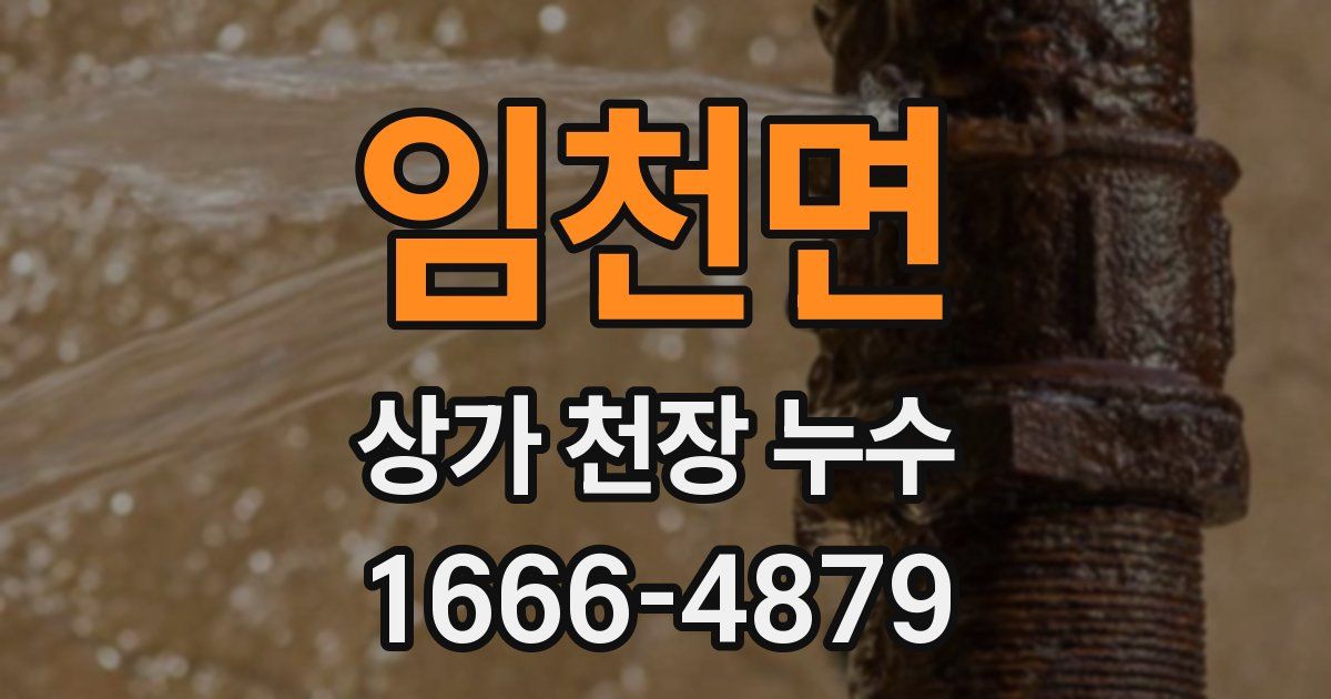 임천면 상가 천장 누수