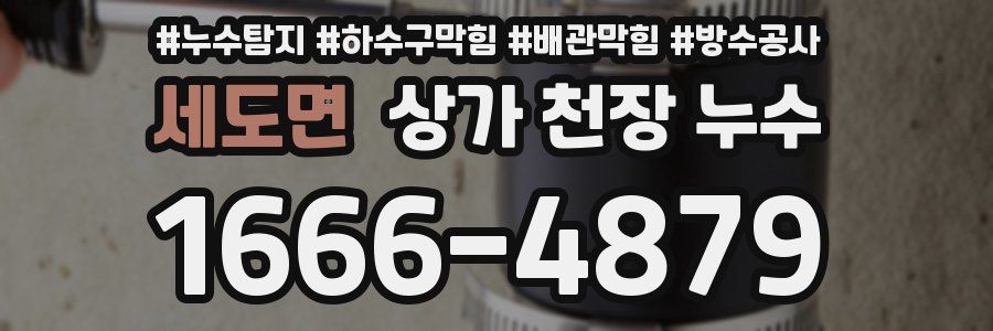 세도면 상가 천장 누수