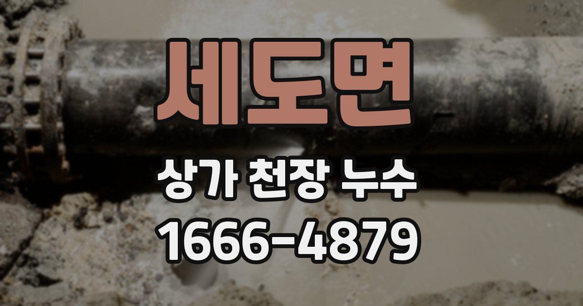 세도면 상가 천장 누수