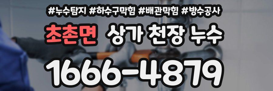 초촌면 상가 천장 누수