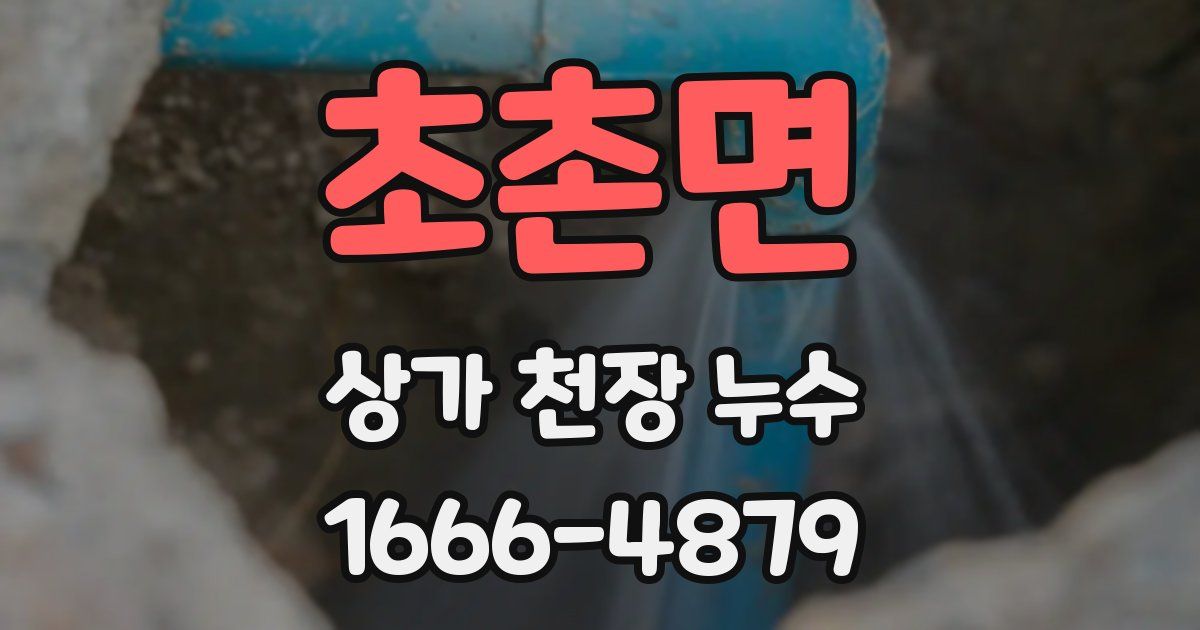 초촌면 상가 천장 누수