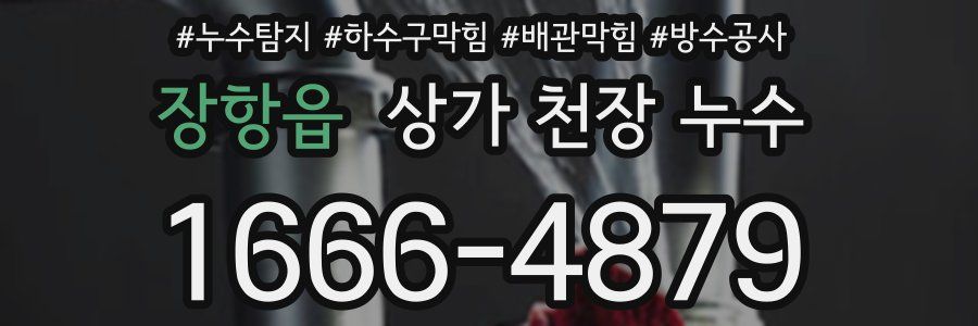 장항읍 상가 천장 누수