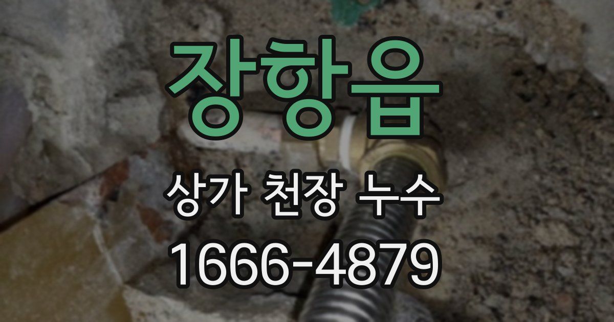 장항읍 상가 천장 누수