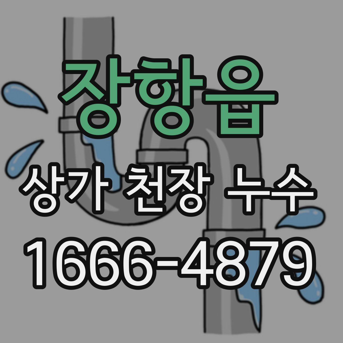장항읍 상가 천장 누수