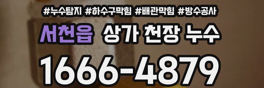 서천읍 상가 천장 누수