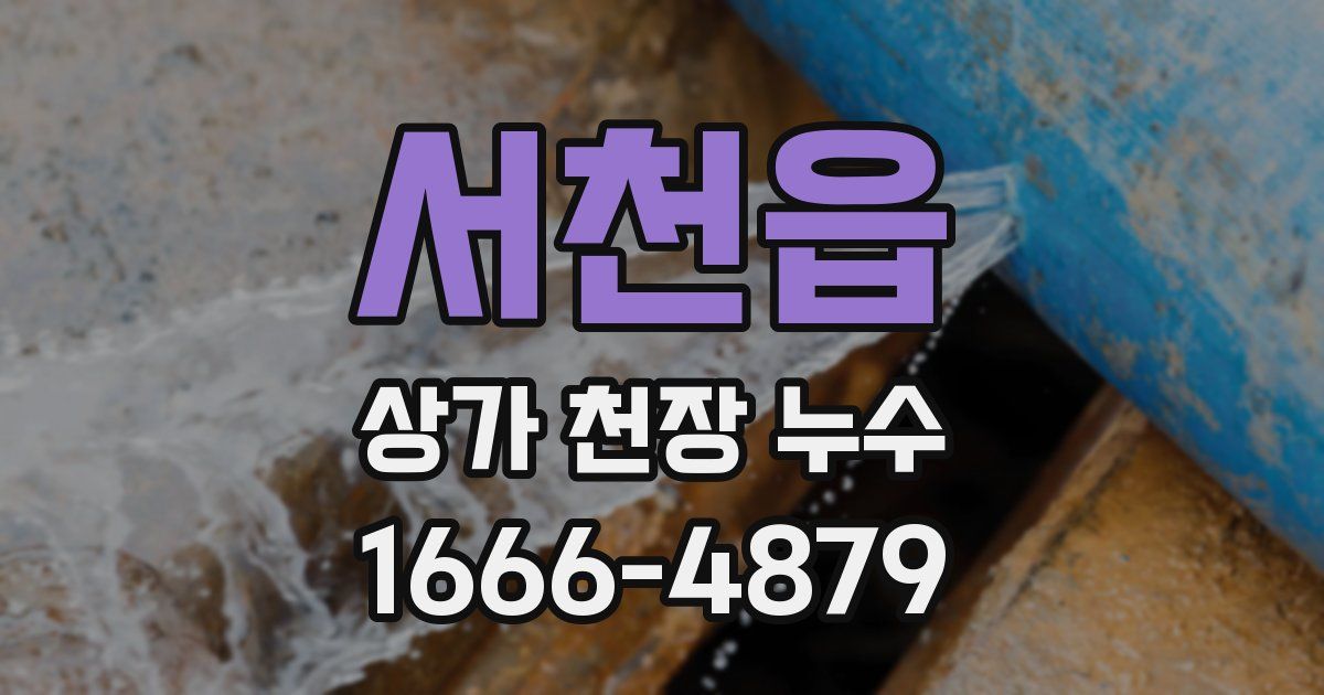 서천읍 상가 천장 누수