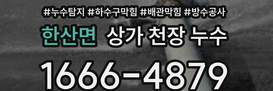 한산면 상가 천장 누수