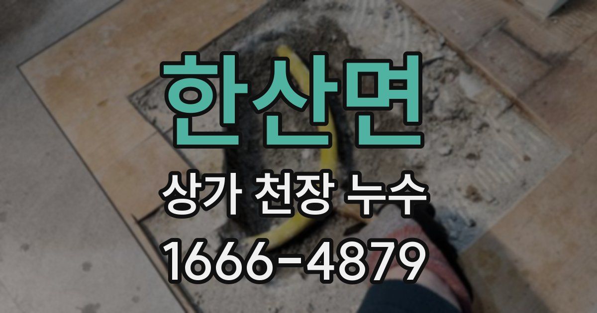 한산면 상가 천장 누수