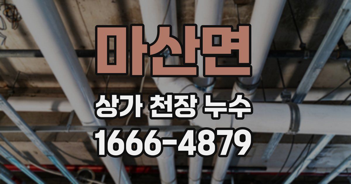 마산면 상가 천장 누수
