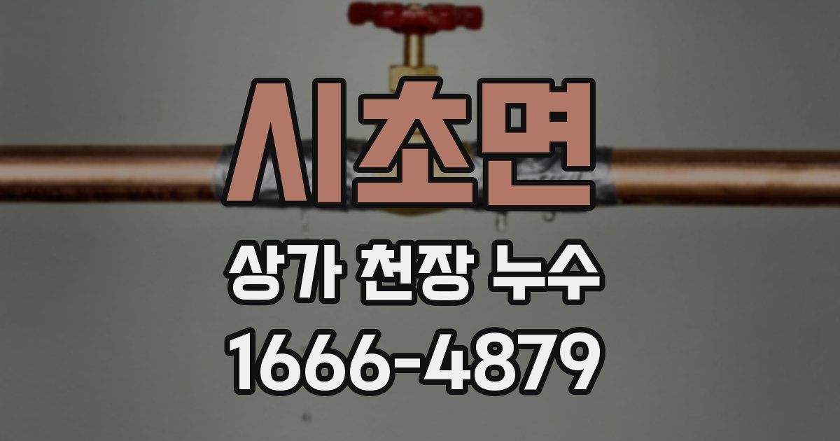 시초면 상가 천장 누수