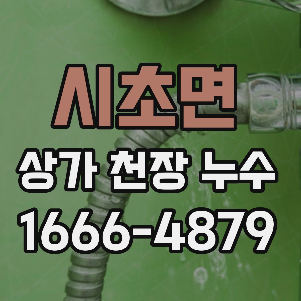시초면 상가 천장 누수