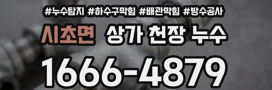 시초면 상가 천장 누수