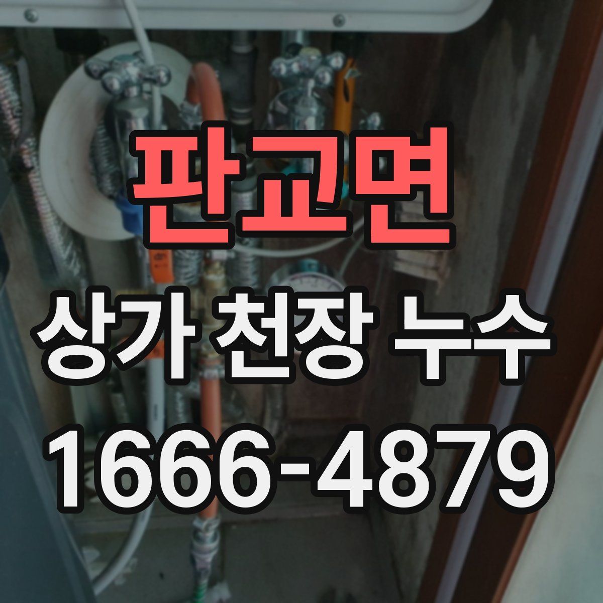 판교면 상가 천장 누수
