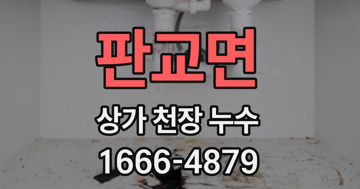 판교면 상가 천장 누수