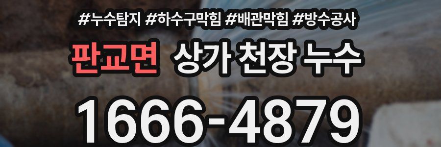 판교면 상가 천장 누수