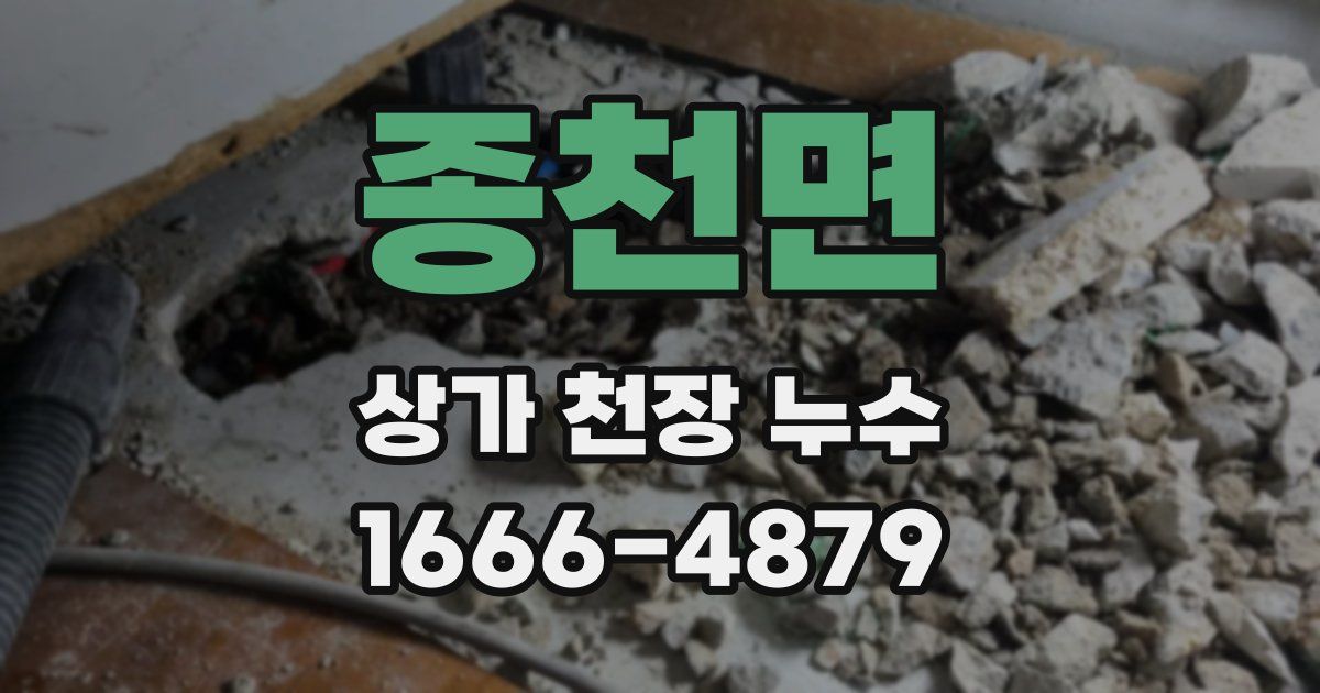 종천면 상가 천장 누수