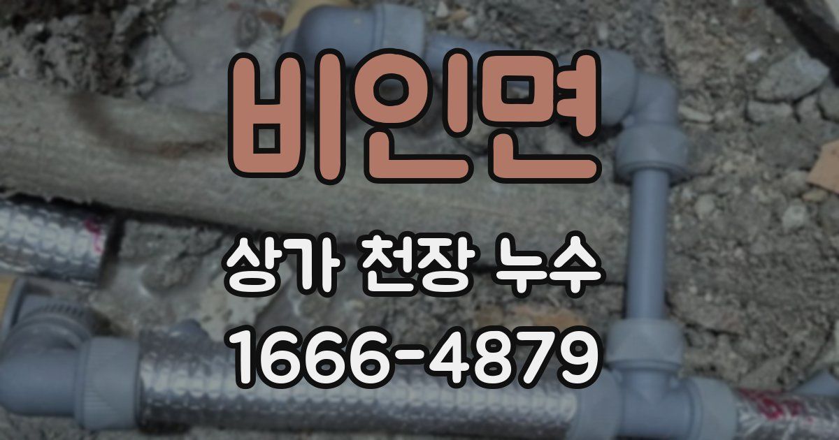 비인면 상가 천장 누수