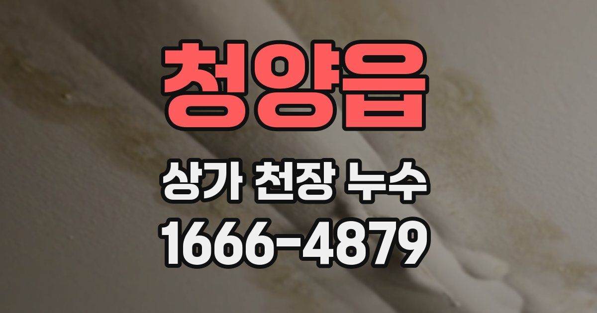청양읍 상가 천장 누수
