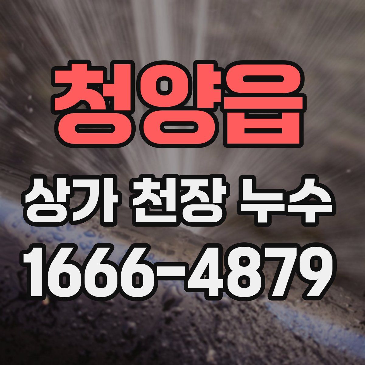 청양읍 상가 천장 누수