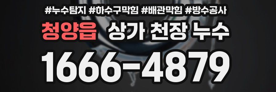 청양읍 상가 천장 누수