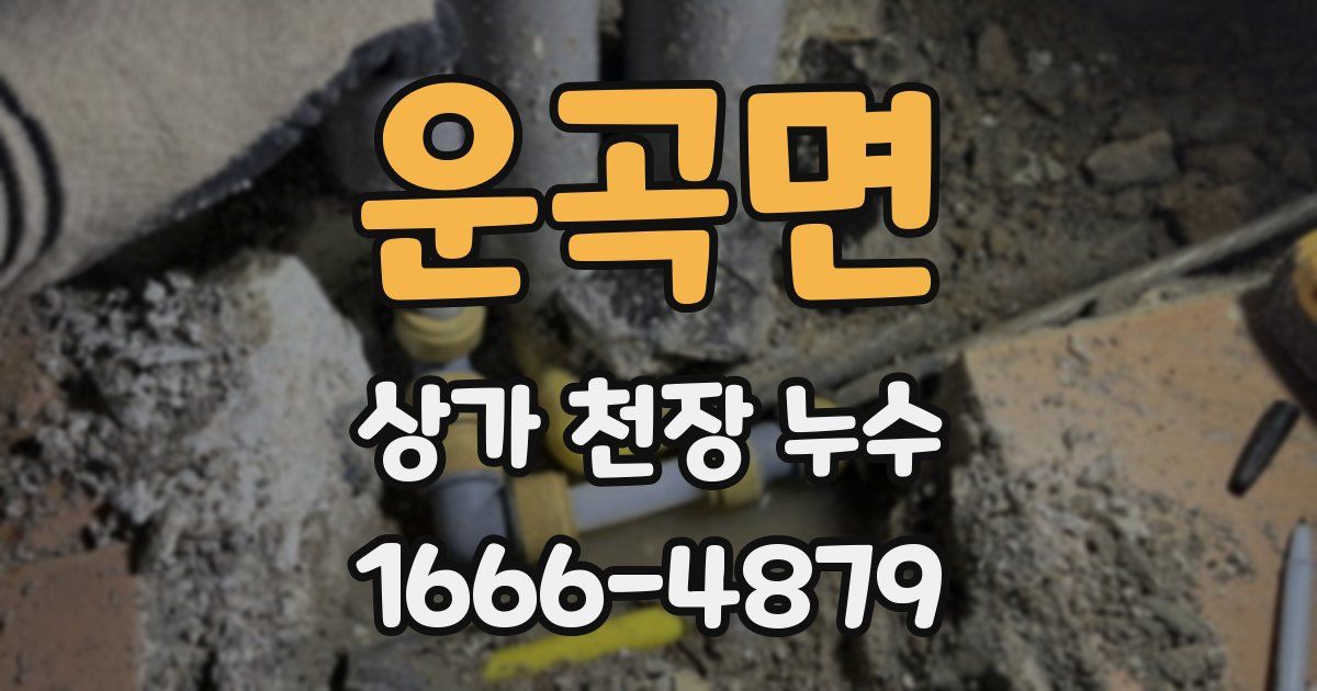 운곡면 상가 천장 누수