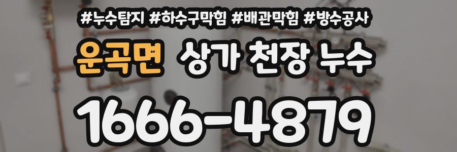 운곡면 상가 천장 누수