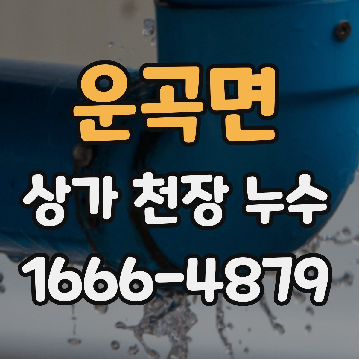 운곡면 상가 천장 누수