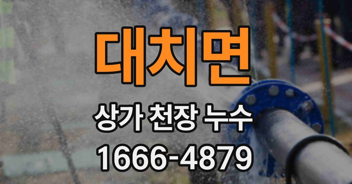 대치면 상가 천장 누수