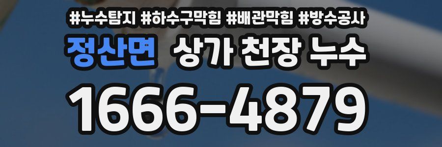 정산면 상가 천장 누수