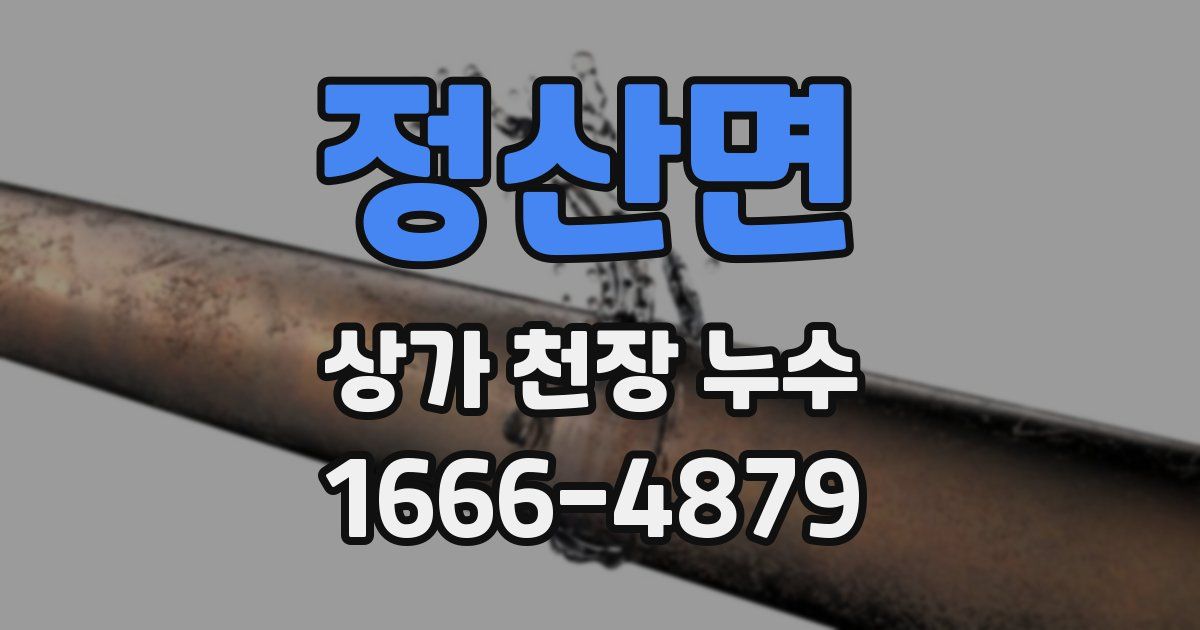 정산면 상가 천장 누수