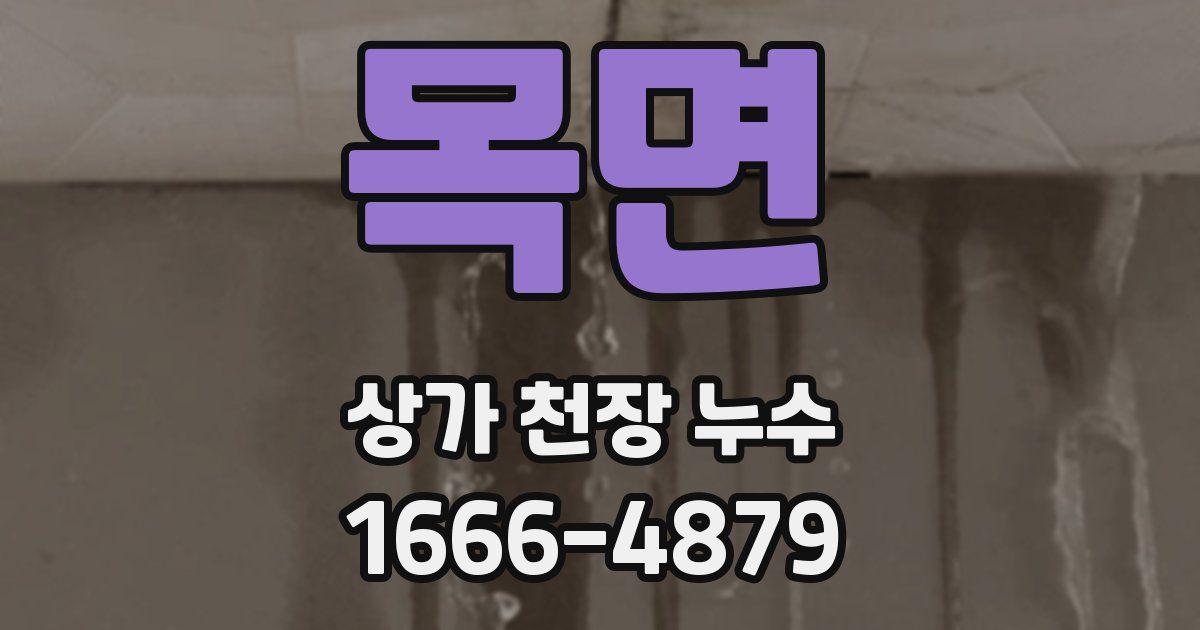 목면 상가 천장 누수