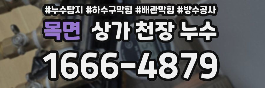 목면 상가 천장 누수