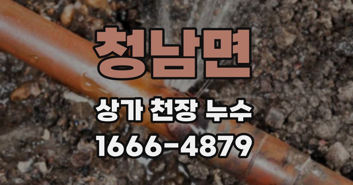 청남면 상가 천장 누수