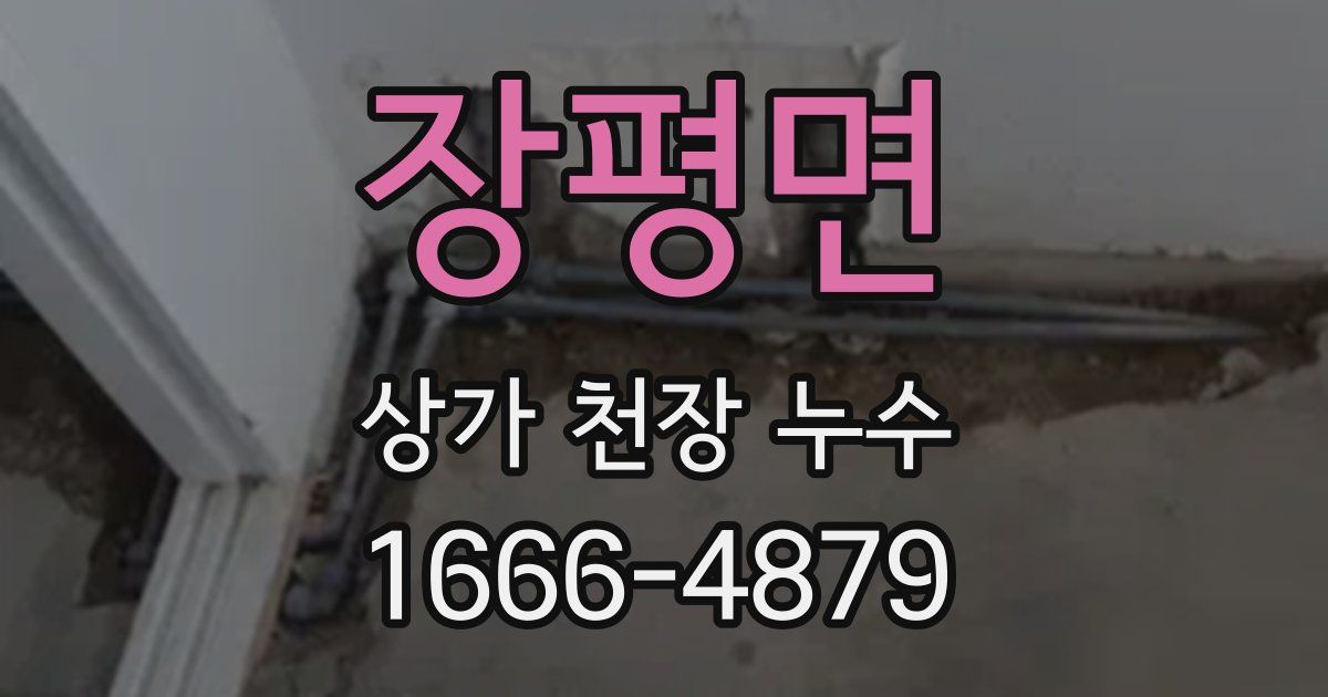 장평면 상가 천장 누수
