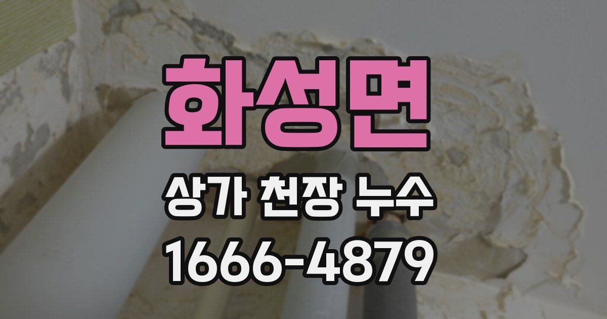 화성면 상가 천장 누수