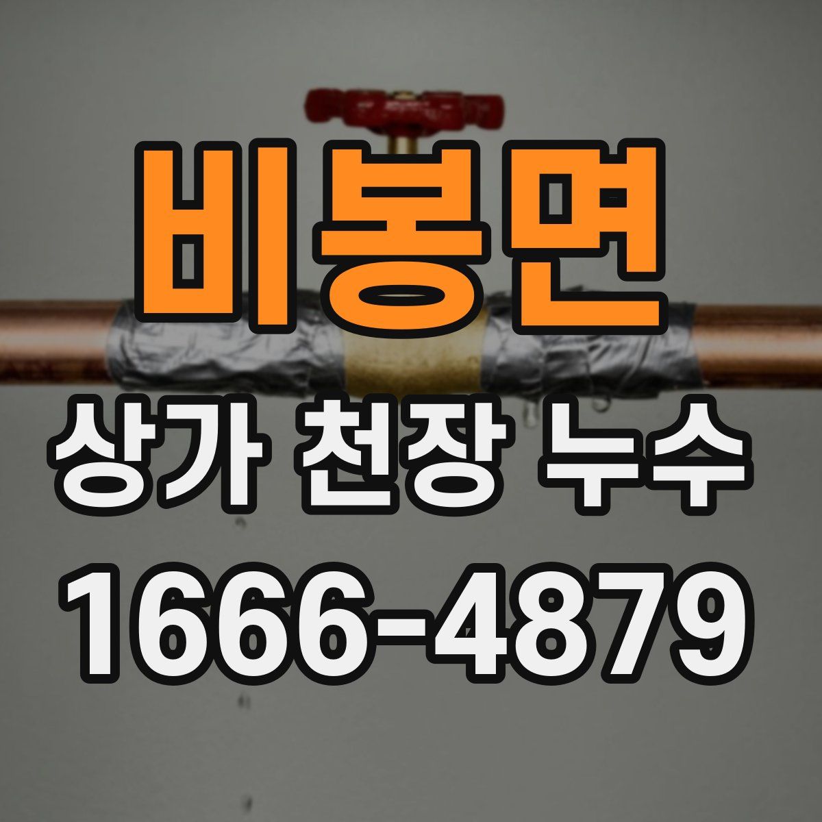 비봉면 상가 천장 누수