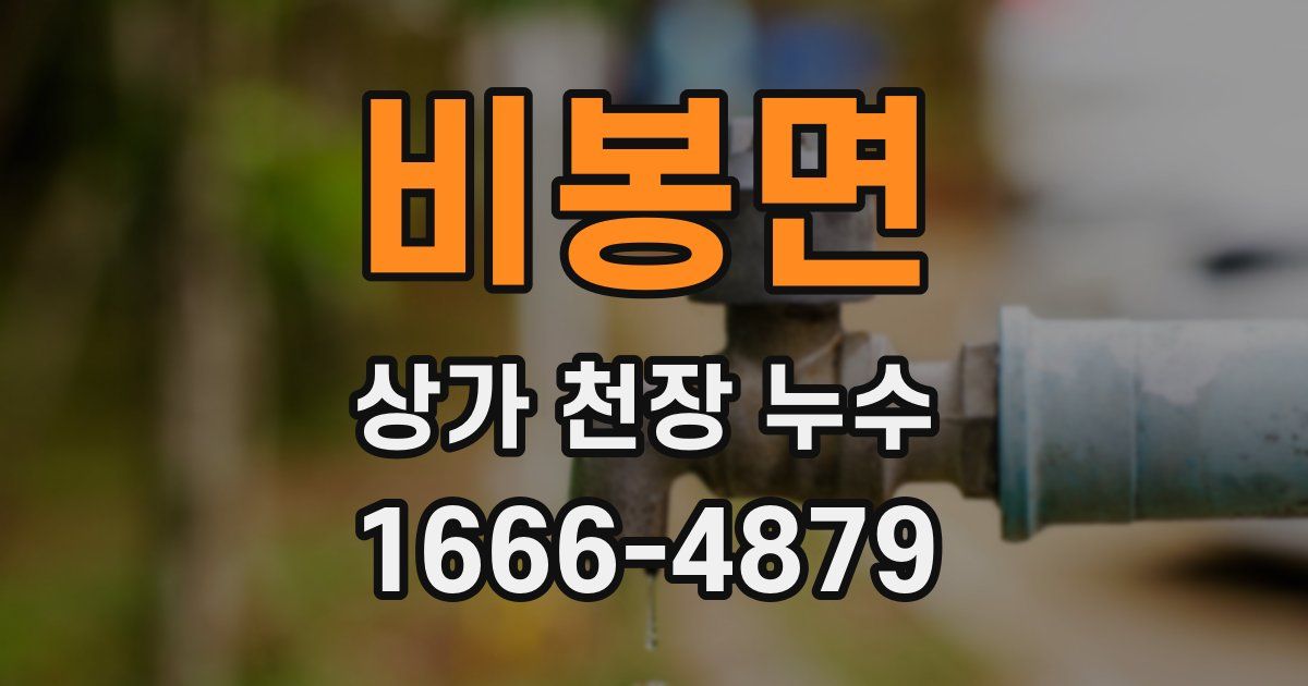 비봉면 상가 천장 누수