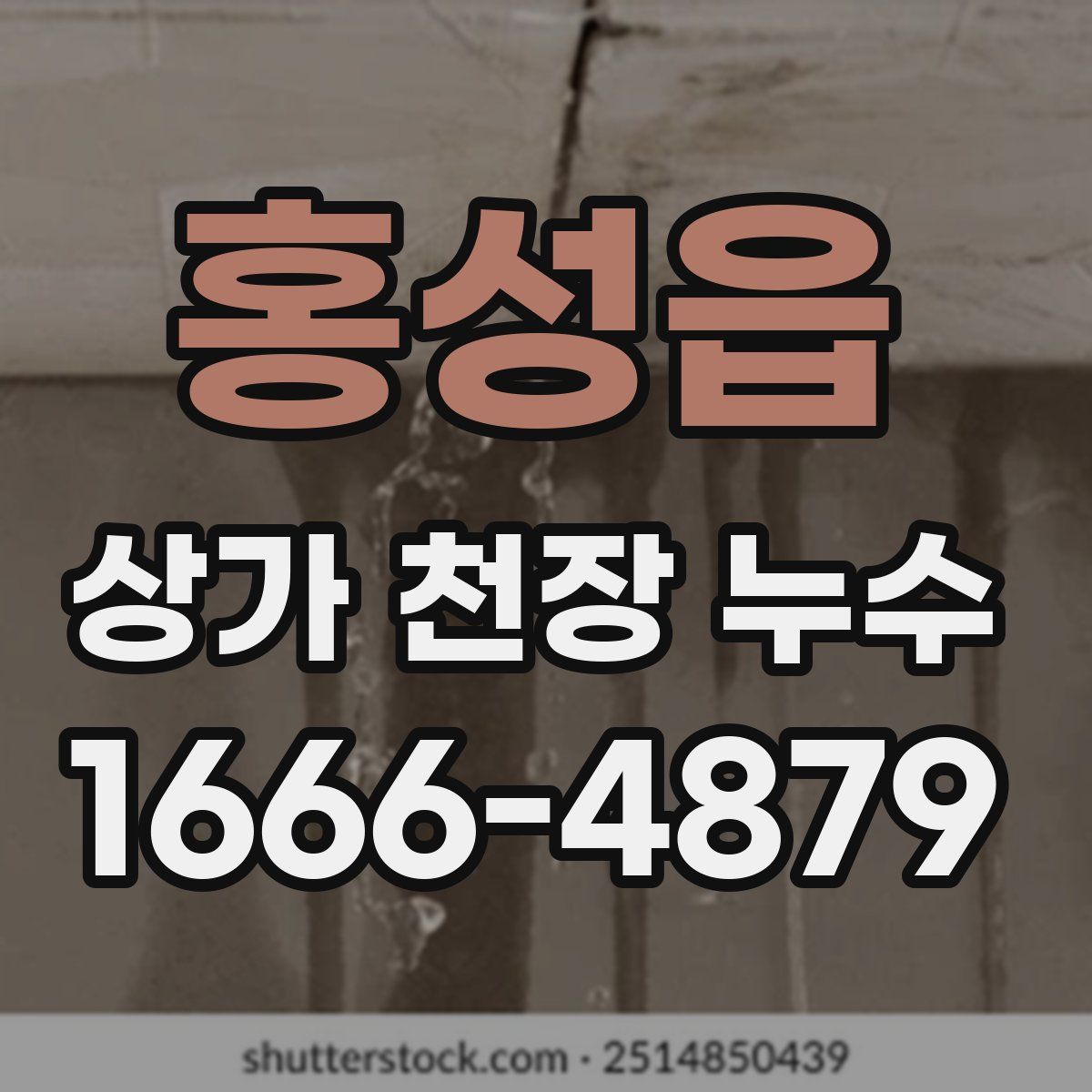 홍성읍 상가 천장 누수