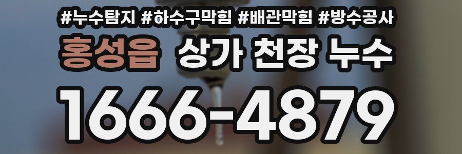 홍성읍 상가 천장 누수