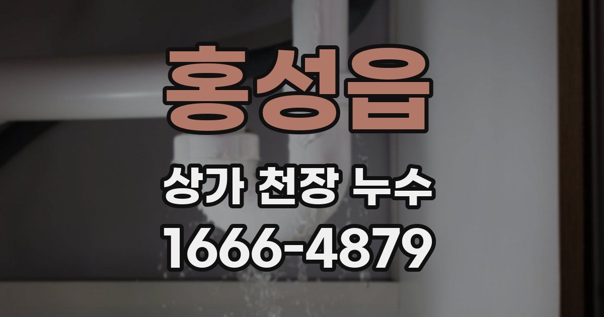 홍성읍 상가 천장 누수