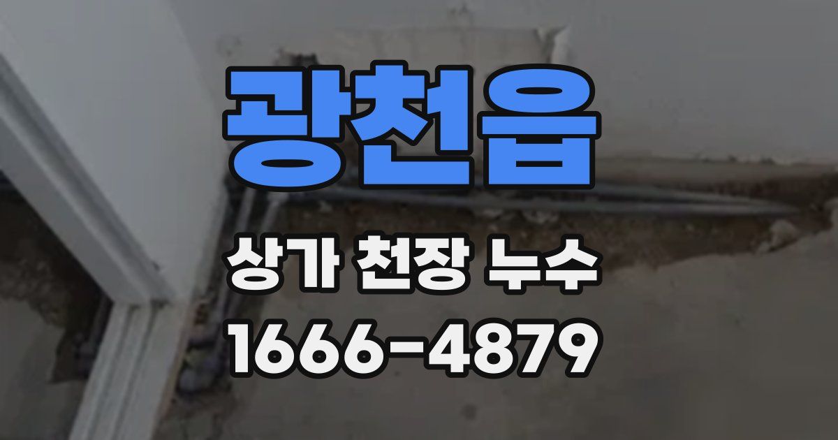 광천읍 상가 천장 누수