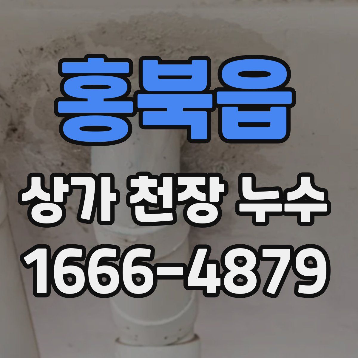 홍북읍 상가 천장 누수
