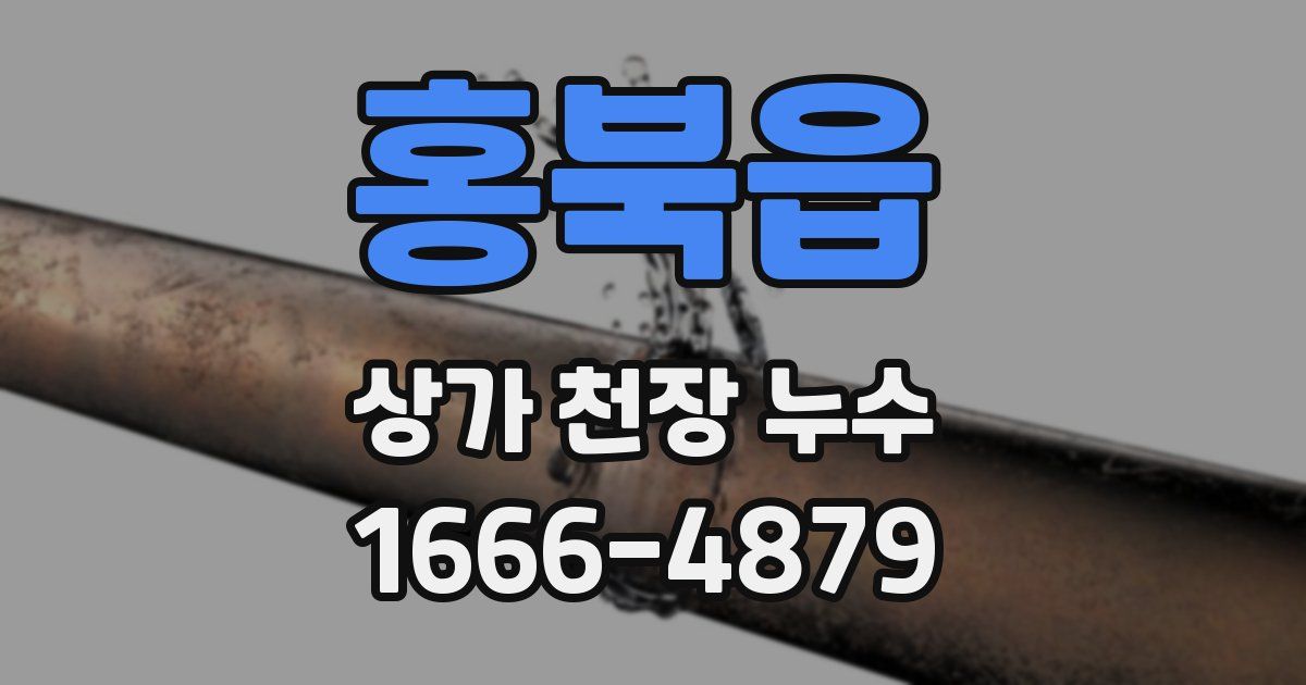 홍북읍 상가 천장 누수