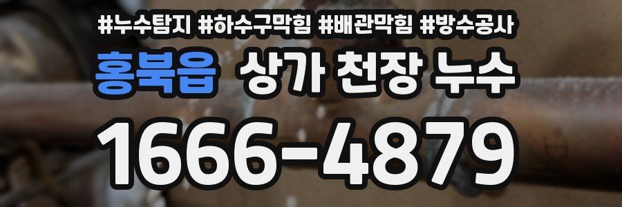 홍북읍 상가 천장 누수
