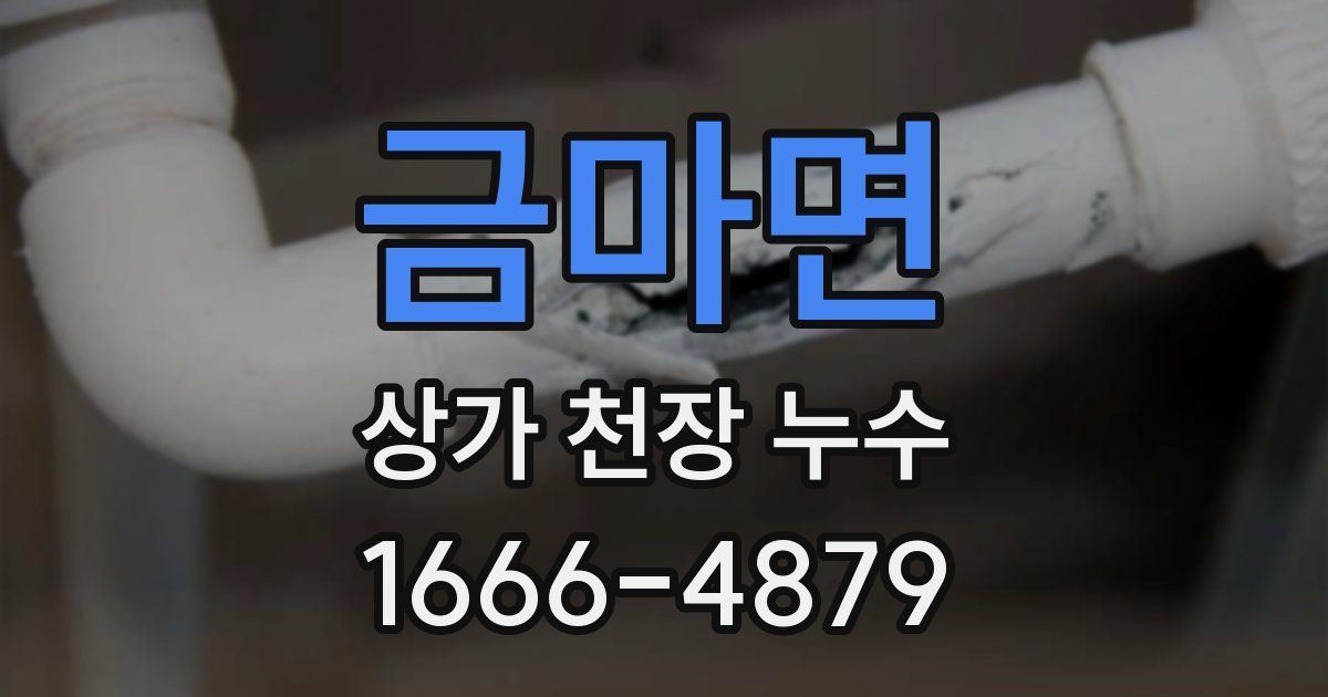 금마면 상가 천장 누수