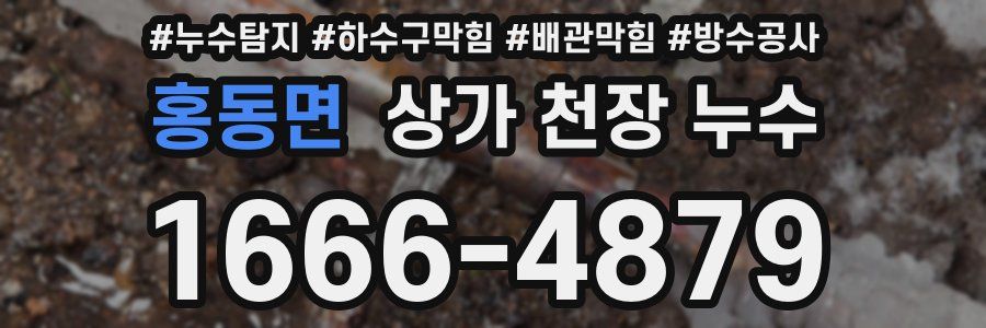 홍동면 상가 천장 누수