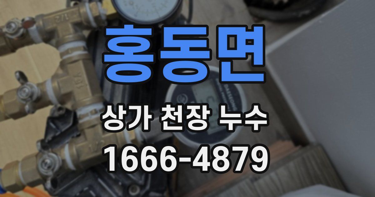 홍동면 상가 천장 누수