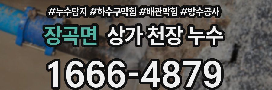 장곡면 상가 천장 누수