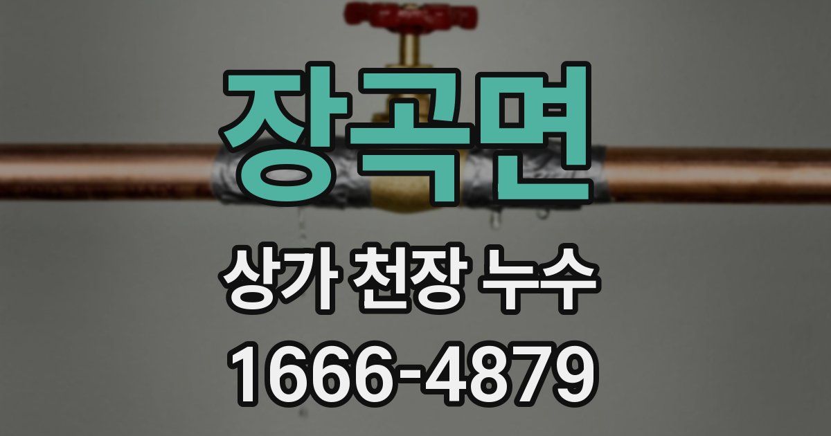 장곡면 상가 천장 누수