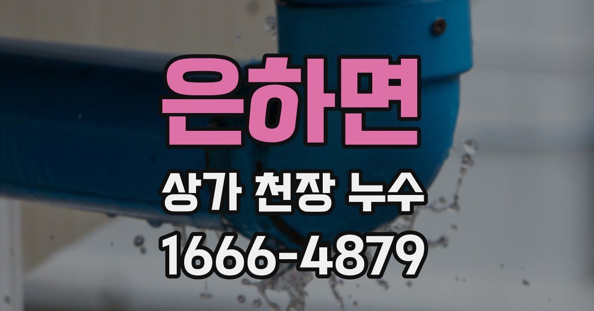 은하면 상가 천장 누수